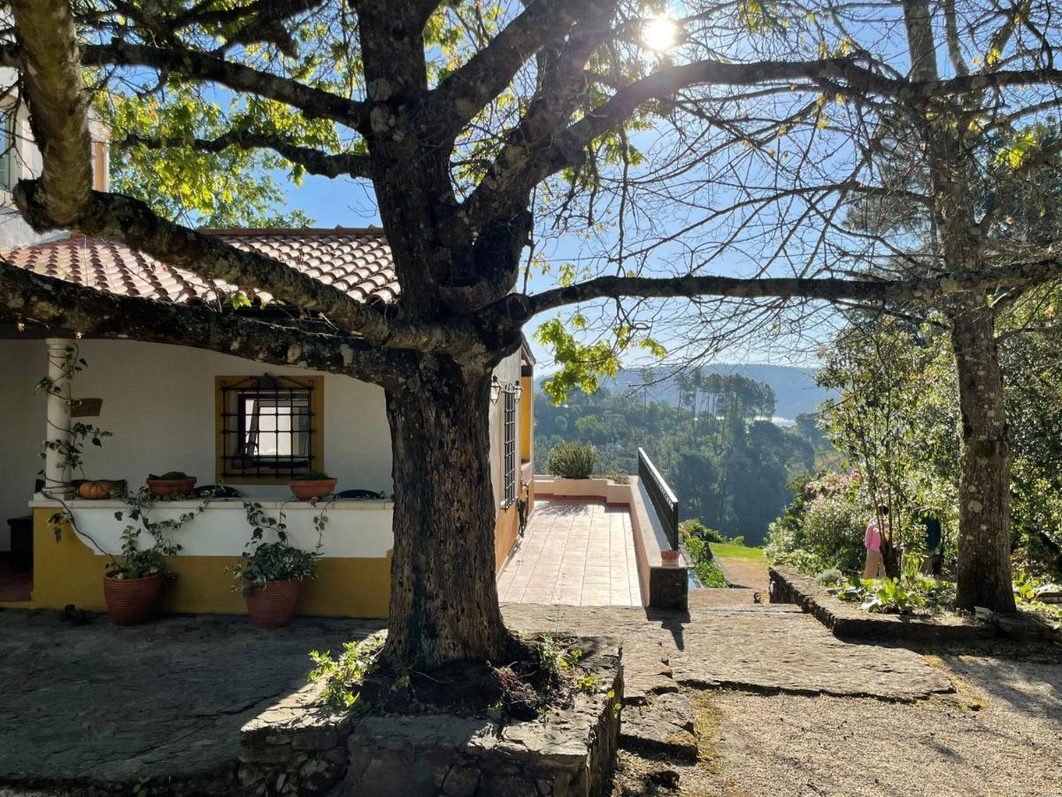 Quinta Do Troviscal Villa Castelo do Bode Exterior photo